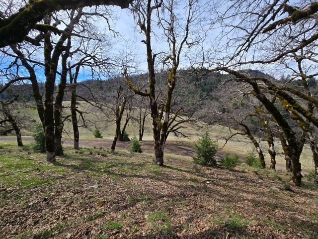 705 Bigfoot Path Road, Kettenpom, CA 95595