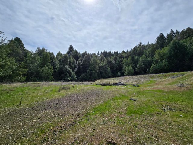 705 Bigfoot Path Road, Kettenpom, CA 95595