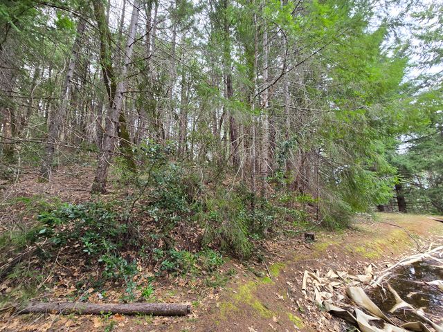 705 Bigfoot Path Road, Kettenpom, CA 95595