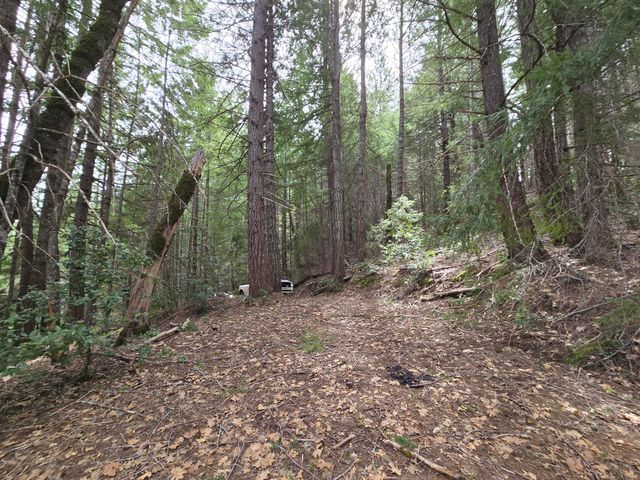 705 Bigfoot Path Road, Kettenpom, CA 95595