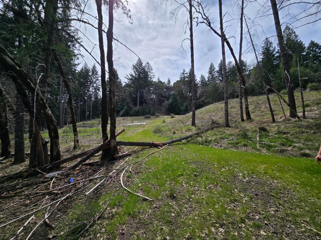 705 Bigfoot Path Road, Kettenpom, CA 95595