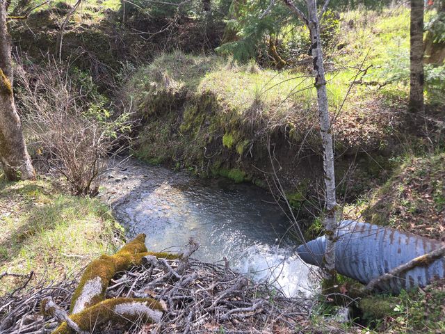 705 Bigfoot Path Road, Kettenpom, CA 95595