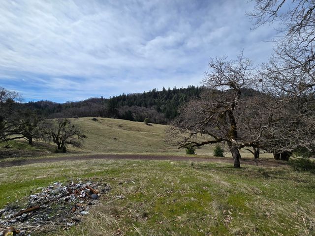 705 Bigfoot Path Road, Kettenpom, CA 95595