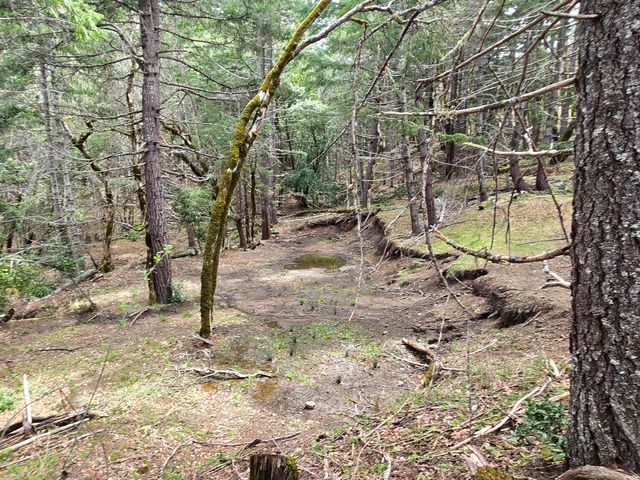 705 Bigfoot Path Road, Kettenpom, CA 95595