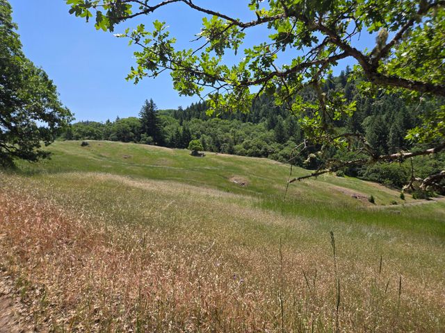 705 Bigfoot Path Road, Kettenpom, CA 95595