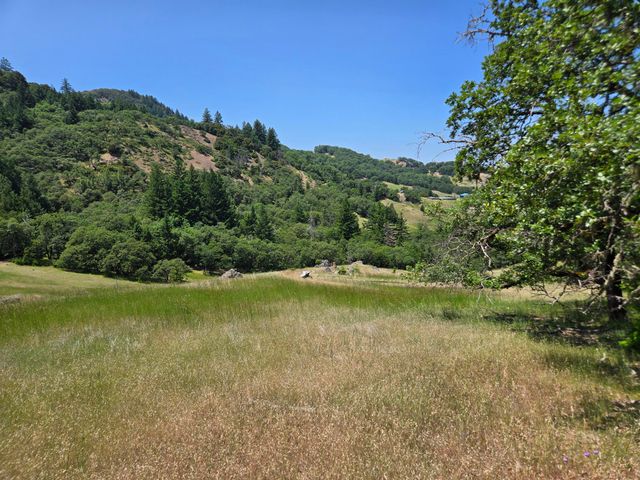 705 Bigfoot Path Road, Kettenpom, CA 95595