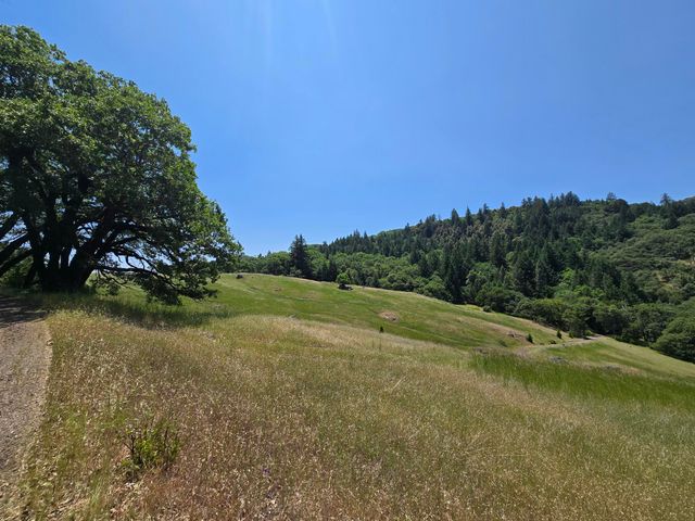 705 Bigfoot Path Road, Kettenpom, CA 95595