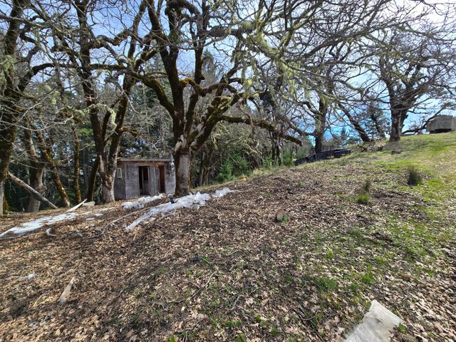 705 Bigfoot Path Road, Kettenpom, CA 95595