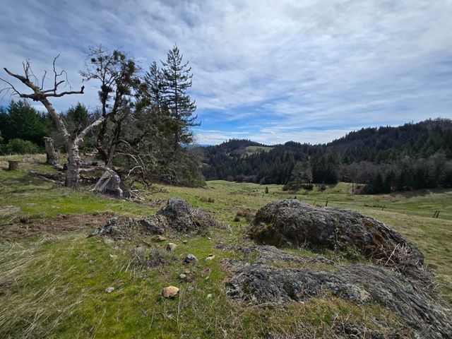 705 Bigfoot Path Road, Kettenpom, CA 95595
