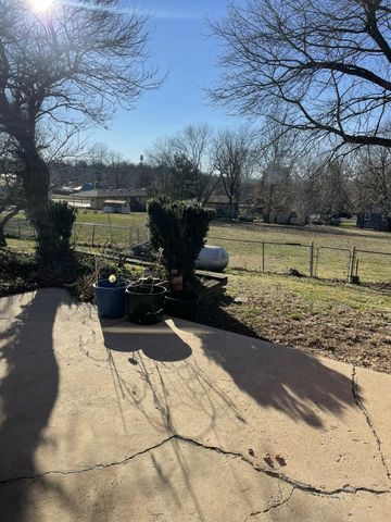 607 Kottmeier Street, Ava, MO 65608