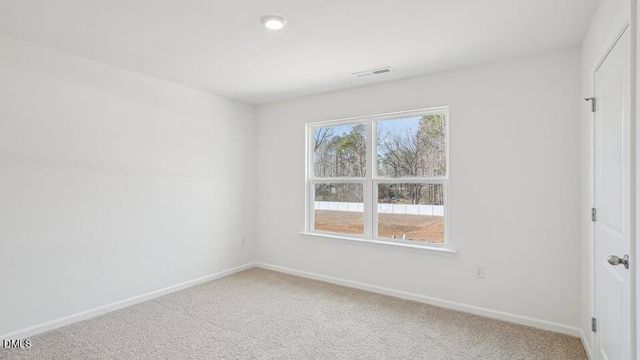 119 Saddle Mare Street, Clayton, NC 27520