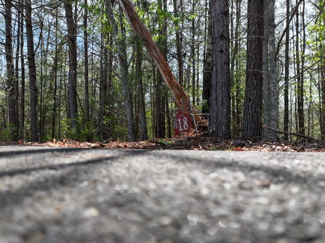 Lot 18 Flowing Springs Drive, Murphy, NC 28906