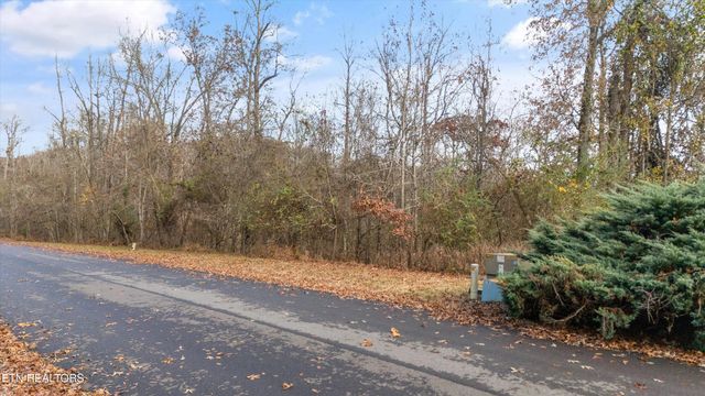 Lot 167 E Shore Drive, Rockwood, TN 37854