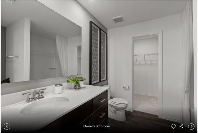 5215 Monarda Mint DR, Austin, TX 78653