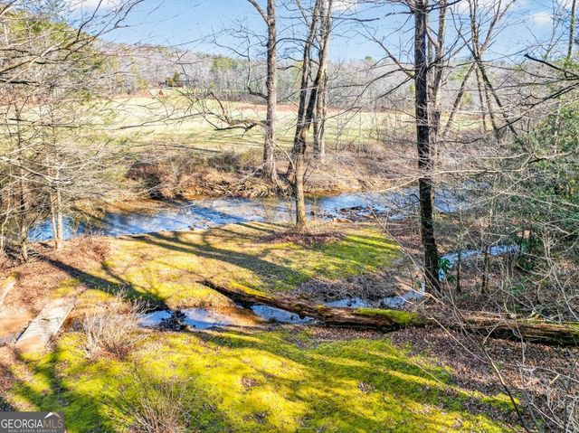 175 Laralynn Lane, Clarkesville, GA 30523