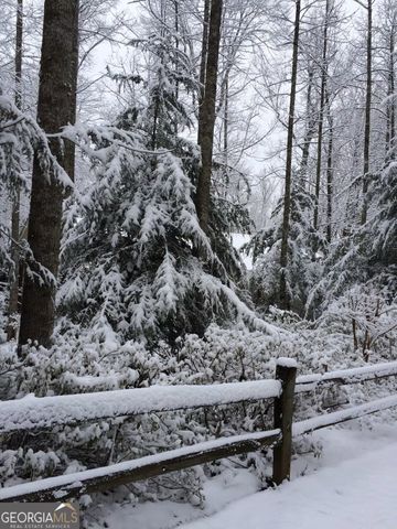 175 Laralynn Lane, Clarkesville, GA 30523