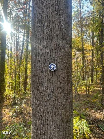 210 Anolis Lane, Pittsboro, NC 27312