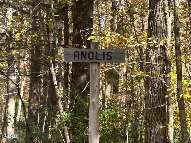 210 Anolis Lane, Pittsboro, NC 27312