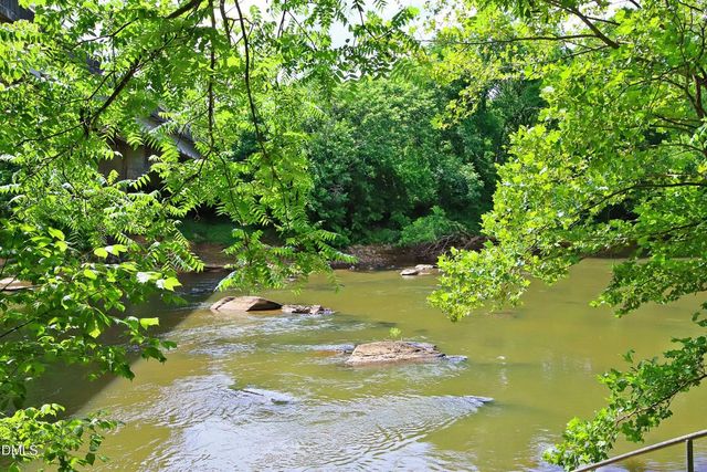 210 Anolis Lane, Pittsboro, NC 27312