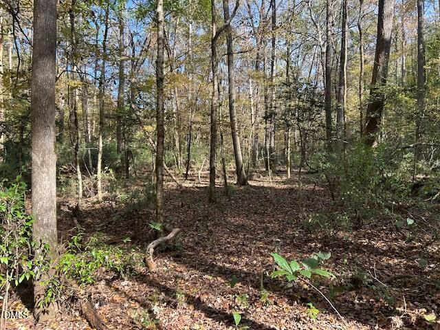 210 Anolis Lane, Pittsboro, NC 27312