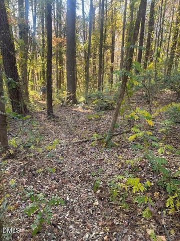 210 Anolis Lane, Pittsboro, NC 27312