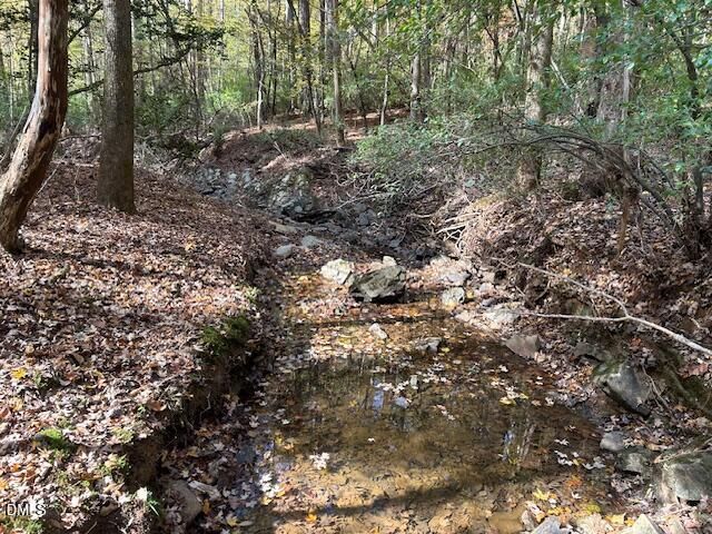 210 Anolis Lane, Pittsboro, NC 27312