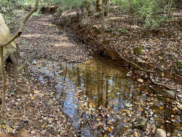 210 Anolis Lane, Pittsboro, NC 27312