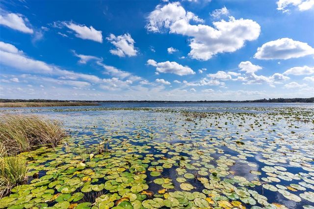 9175 SILVER LAKE DRIVE, Leesburg, FL 34788