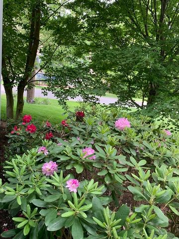 11 Longmeadow Way 11, Acton, MA 01720