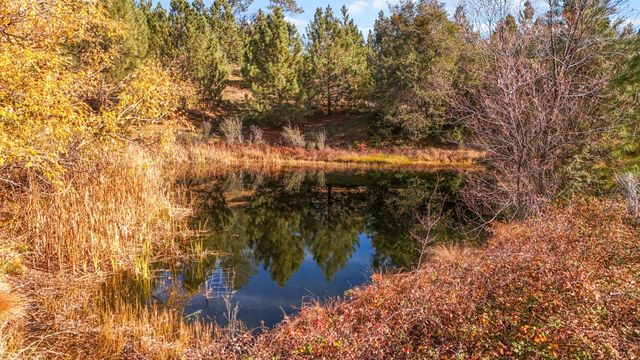 5750 Woodcutters Way, Manton, CA 96059