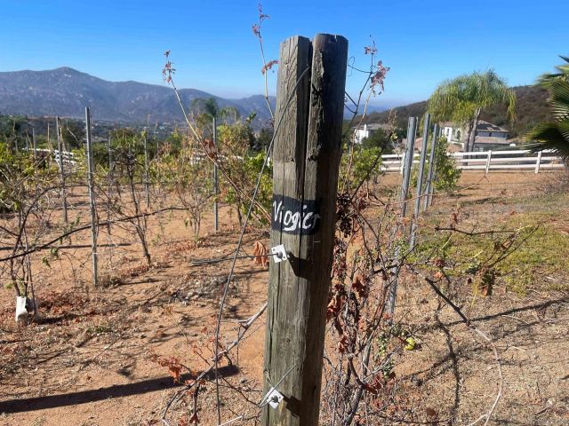 15068 Creek Hills Rd, El Cajon, CA 92021