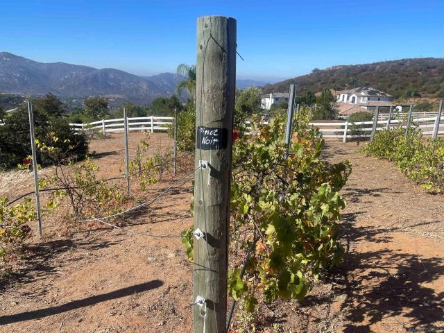 15068 Creek Hills Rd, El Cajon, CA 92021