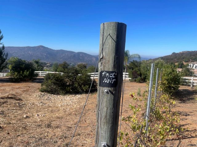 15068 Creek Hills Rd, El Cajon, CA 92021