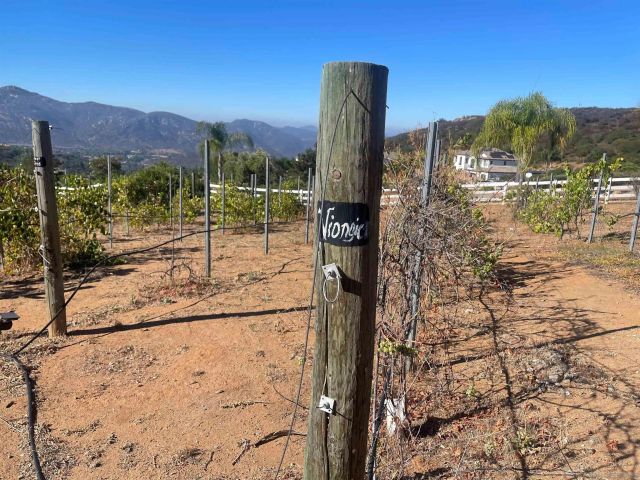 15068 Creek Hills Rd, El Cajon, CA 92021