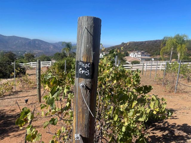 15068 Creek Hills Rd, El Cajon, CA 92021