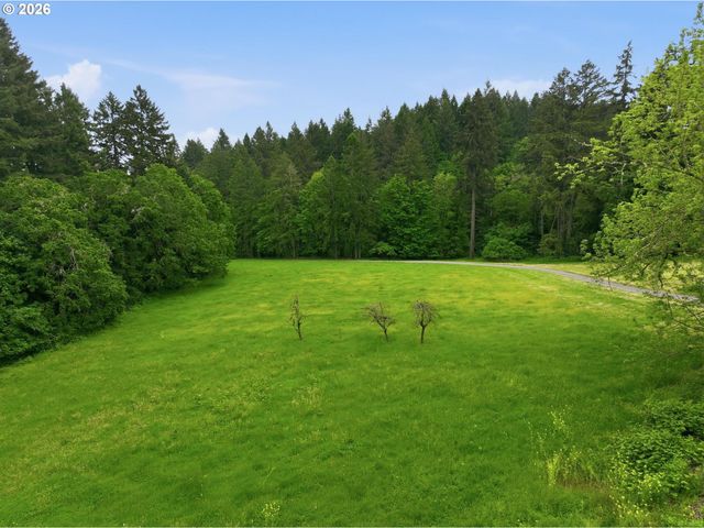 19231 Ne FAIRVIEW Dr, Dundee, OR 97115