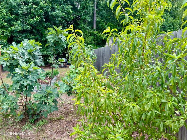 143 Fawnbrook Drive, Four Oaks, NC 27524