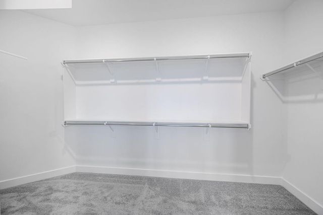 2120 Lila Sky Lane, Friendswood, TX 77546