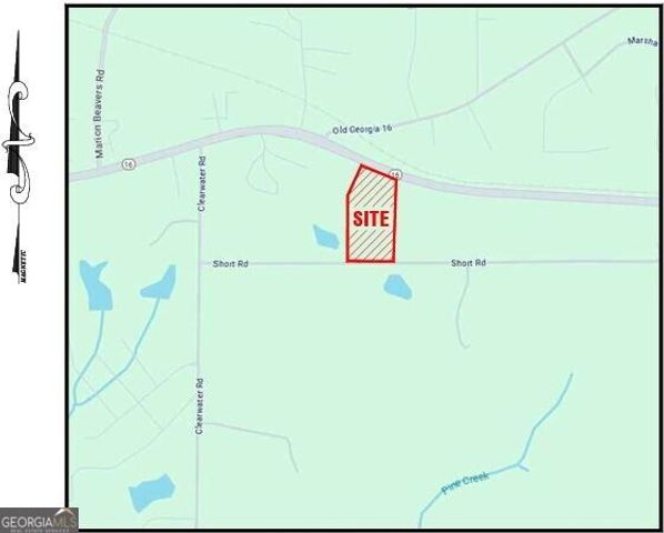 LOT 5 GA Highway 16, Sharpsburg, GA 30277
