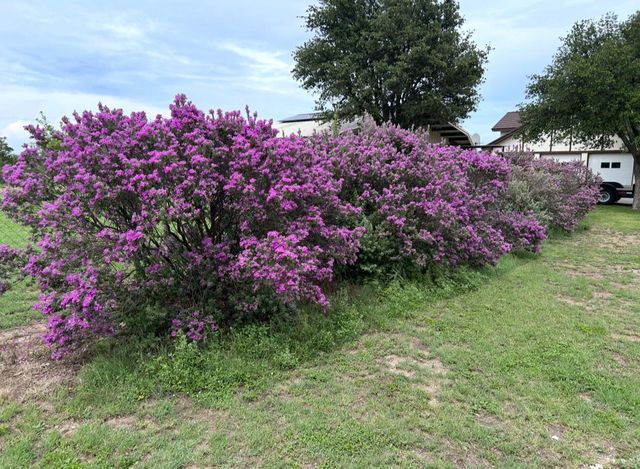 308 Edinburgh Road, San Angelo, TX 76901