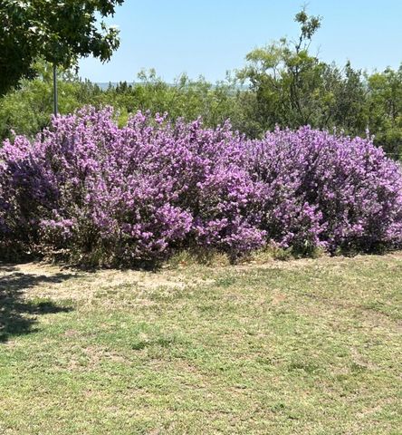 308 Edinburgh Road, San Angelo, TX 76901