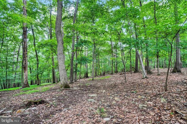8272 WOODBINE RD, Airville, PA 17302