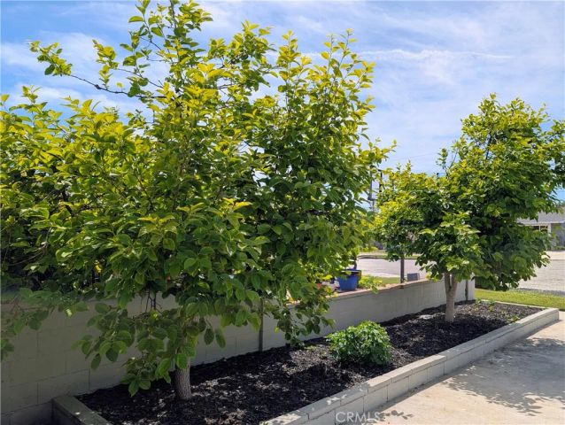 8002 San Leon Circle, Buena Park, CA 90620