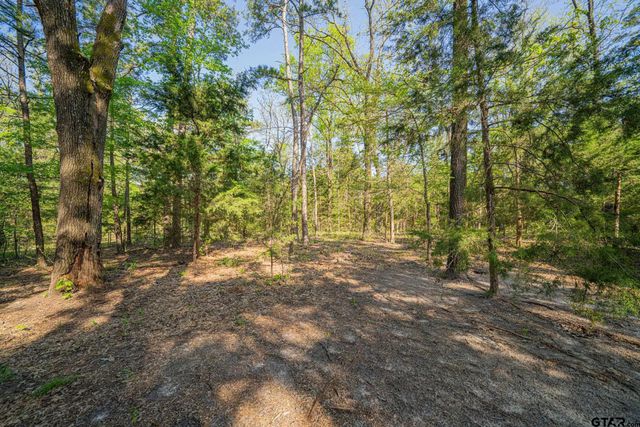 150 CR 4551, Winnsboro, TX 75494