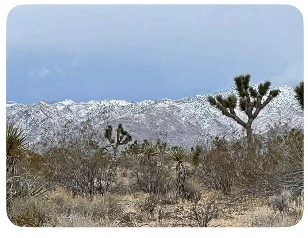 3893 Manchester Avenue, Yucca Valley, CA 92284