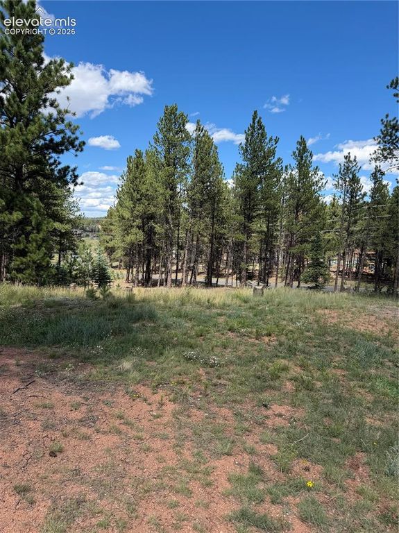 1396 Roberts Ranch Road, Woodland Park, CO 80863 — exterior