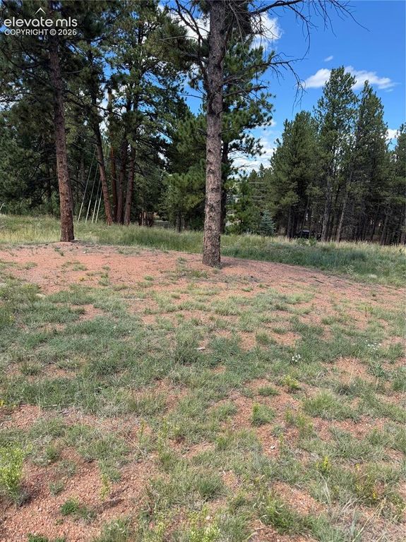 1396 Roberts Ranch Road, Woodland Park, CO 80863 — photo 2