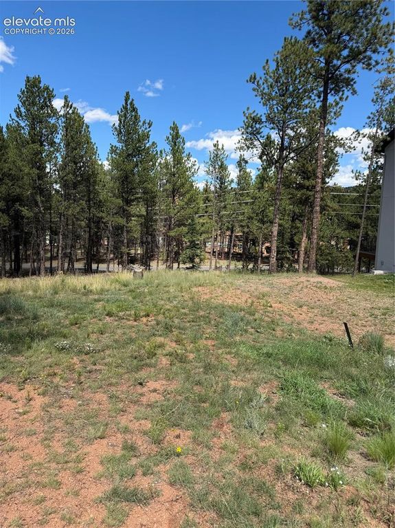 1396 Roberts Ranch Road, Woodland Park, CO 80863 — photo 3
