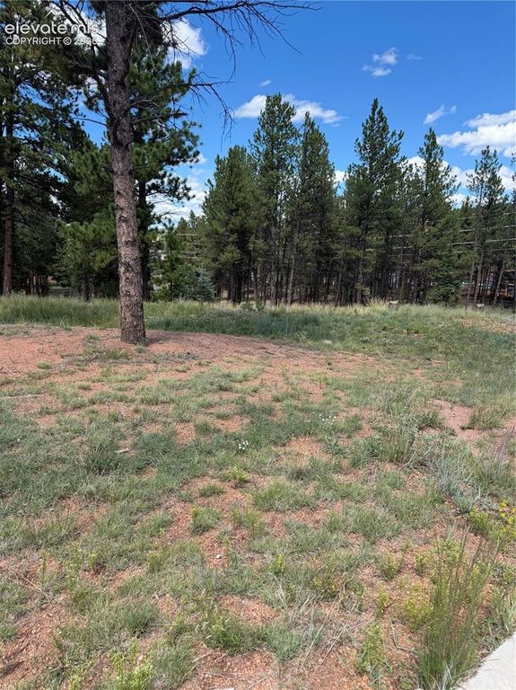 1396 Roberts Ranch Road, Woodland Park, CO 80863 — photo 4