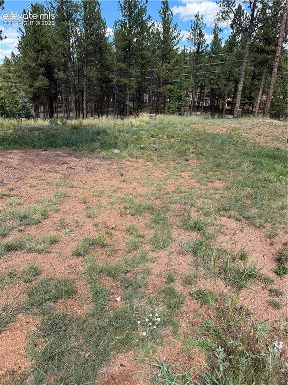 1396 Roberts Ranch Road, Woodland Park, CO 80863 — photo 5